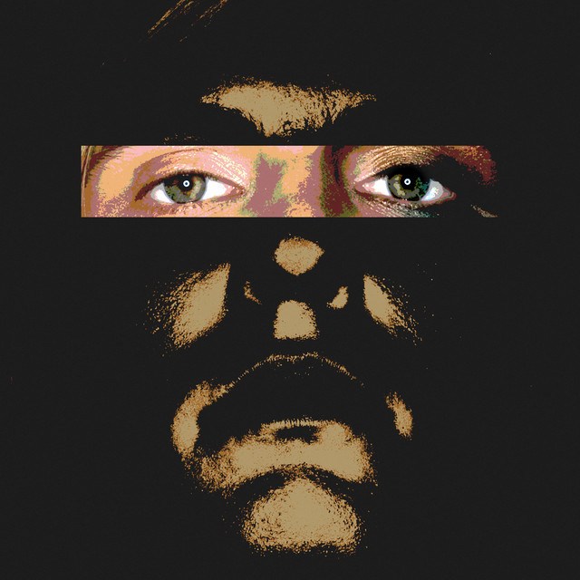 Omslag för Sen blev jag flykten